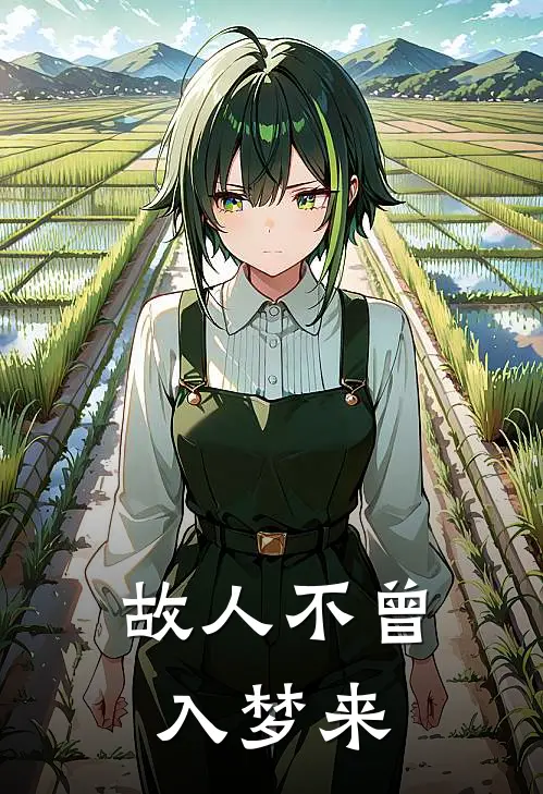 故人不曾入梦来