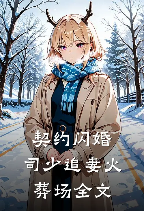 契约闪婚：司少追妻火葬场全文