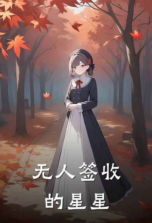 无人签收的星星