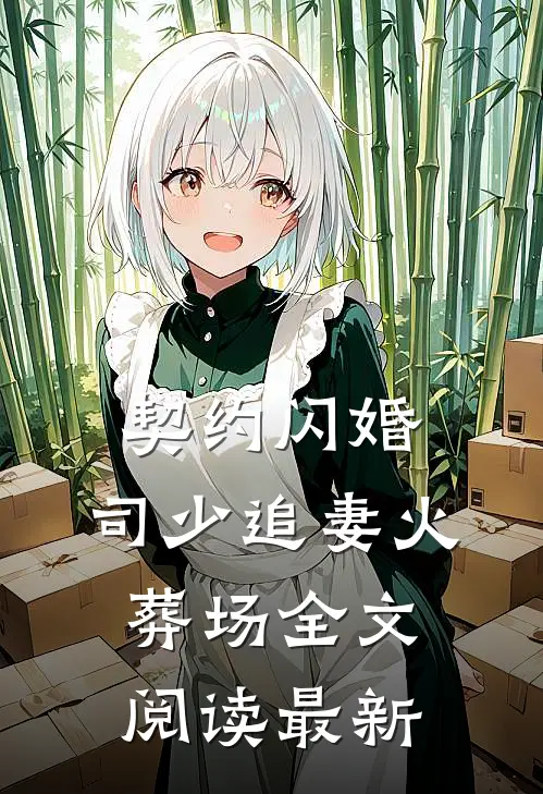 契约闪婚：司少追妻火葬场全文阅读最新