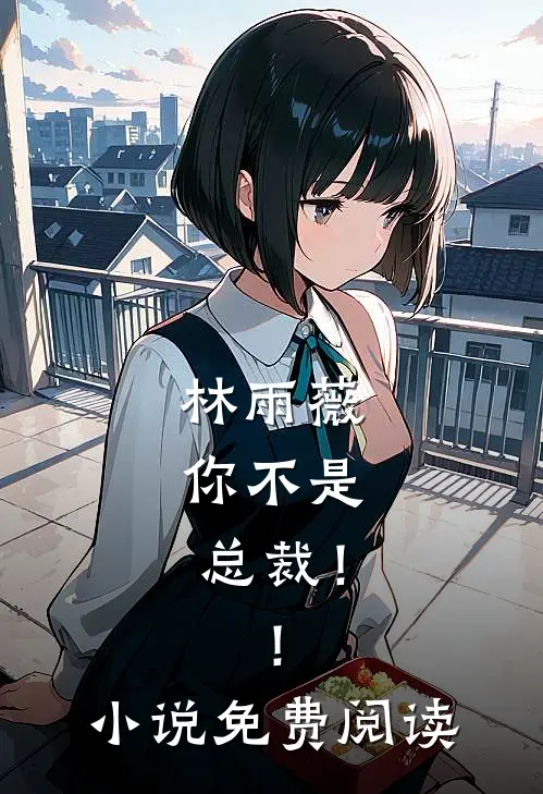 林雨薇，你不是总裁！！小说免费阅读