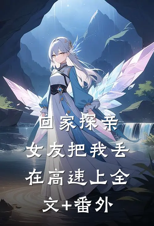 回家探亲，女友把我丢在高速上全文+番外