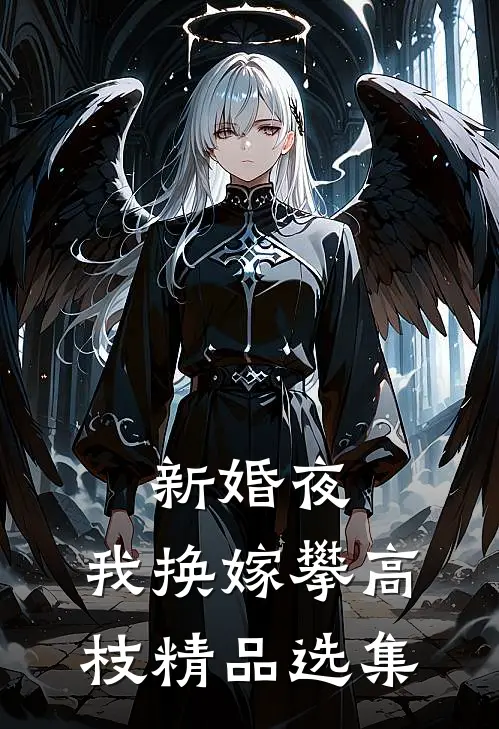 新婚夜，我换嫁攀高枝精品选集