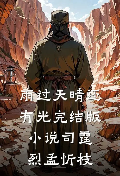 雨过天晴还有光完结版小说司霆烈孟忻枝