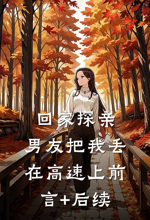 回家探亲，男友把我丢在高速上前言+后续