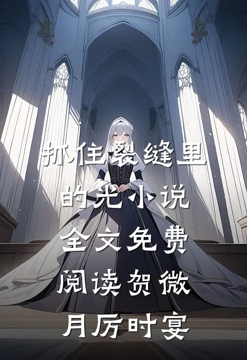 抓住裂缝里的光小说全文免费阅读贺微月厉时宴