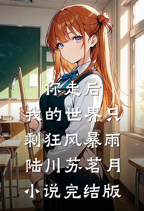 你走后，我的世界只剩狂风暴雨陆川苏茗月小说完结版