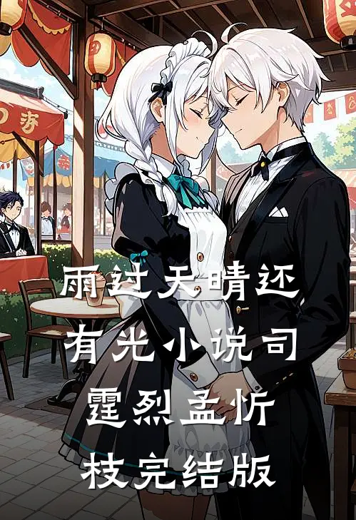 雨过天晴还有光小说司霆烈孟忻枝完结版
