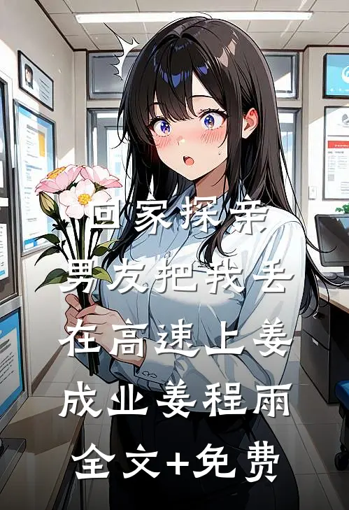 回家探亲，男友把我丢在高速上姜成业姜程雨全文+免费
