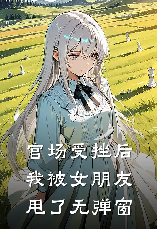 官场受挫后，我被女朋友甩了无弹窗