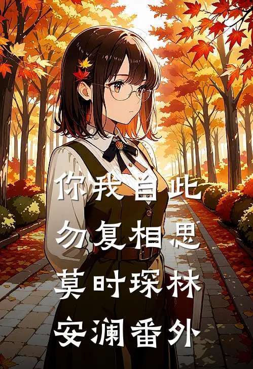 你我自此，勿复相思莫时琛林安澜番外