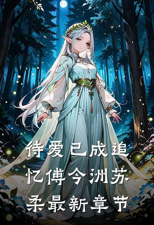 待爱已成追忆傅今洲苏柔最新章节