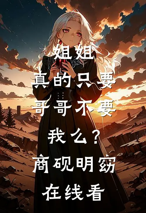恰似明月鉴我心的小说
