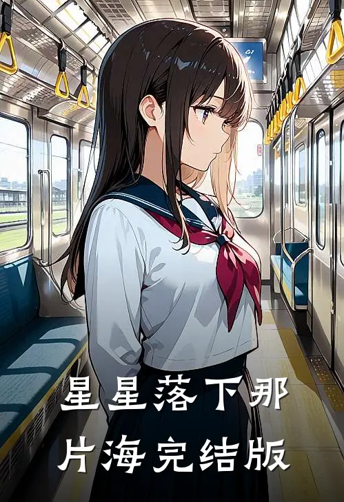 星星落下那片海完结版