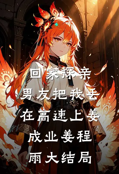 回家探亲，男友把我丢在高速上姜成业姜程雨大结局
