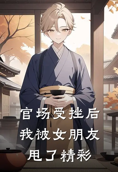 官场受挫后，我被女朋友甩了精彩