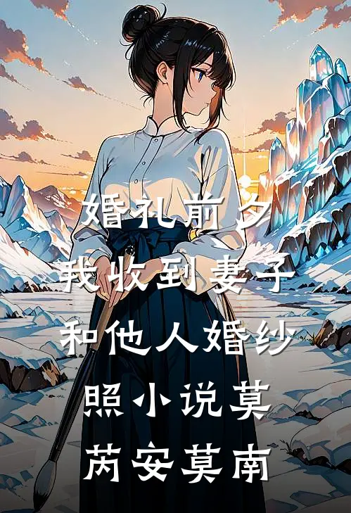 婚礼前夕，我收到妻子和他人婚纱照小说莫芮安莫南