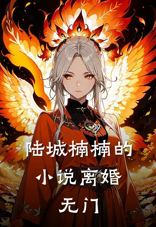 陆城楠楠的小说离婚，无门