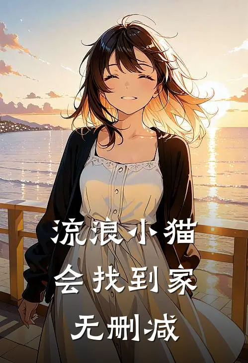 流浪小猫会找到家无删减