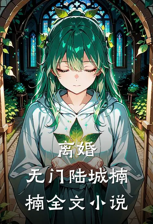 离婚，无门陆城楠楠全文小说