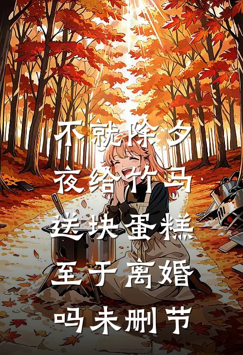 不就除夕夜给竹马送块蛋糕，至于离婚吗未删节