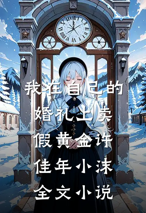 我在自己的婚礼上卖假黄金许佳年小沫全文小说