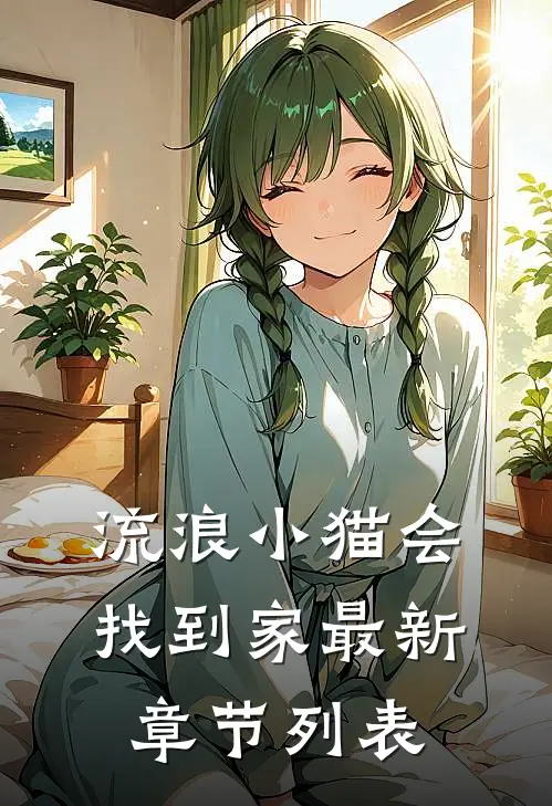 流浪小猫会找到家最新章节列表