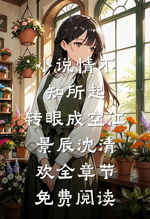 小说情不知所起，转眼成空江景辰沈清欢全章节免费阅读