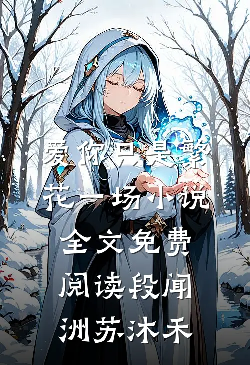 爱你只是繁花一场小说全文免费阅读段闻洲苏沐禾