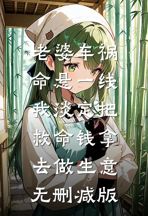 老婆车祸命悬一线，我淡定把救命钱拿去做生意无删减版