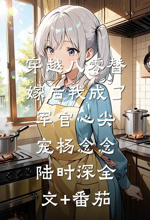 穿越八零替嫁后我成了军官心尖宠杨念念陆时深全文+番茄
