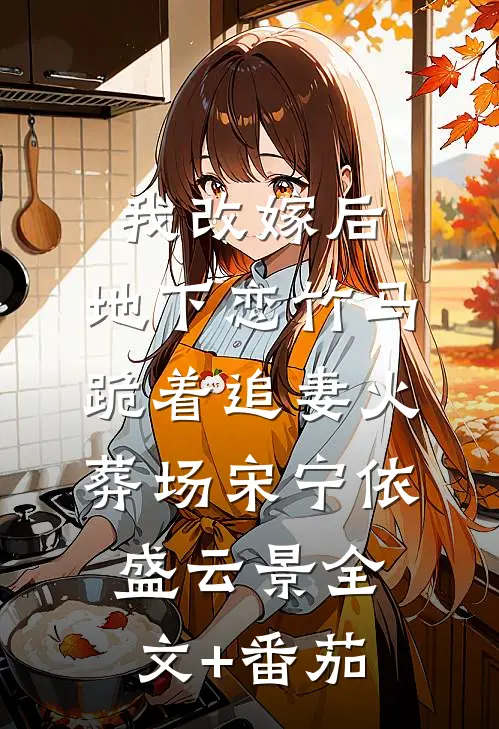 我改嫁后，地下恋竹马跪着追妻火葬场宋宁依盛云景全文+番茄