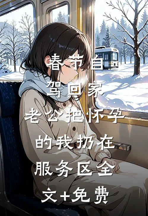 春节自驾回家，老公把怀孕的我扔在服务区全文+免费