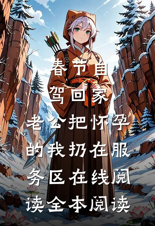 春节自驾回家，老公把怀孕的我扔在服务区在线阅读全本阅读
