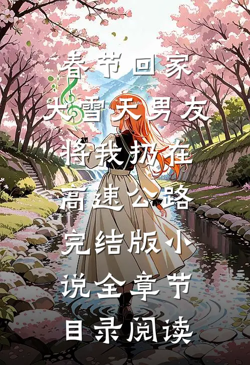 春节回家，大雪天男友将我扔在高速公路完结版小说全章节目录阅读