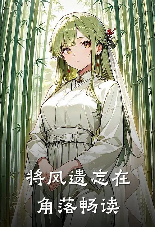 将风遗忘在角落畅读