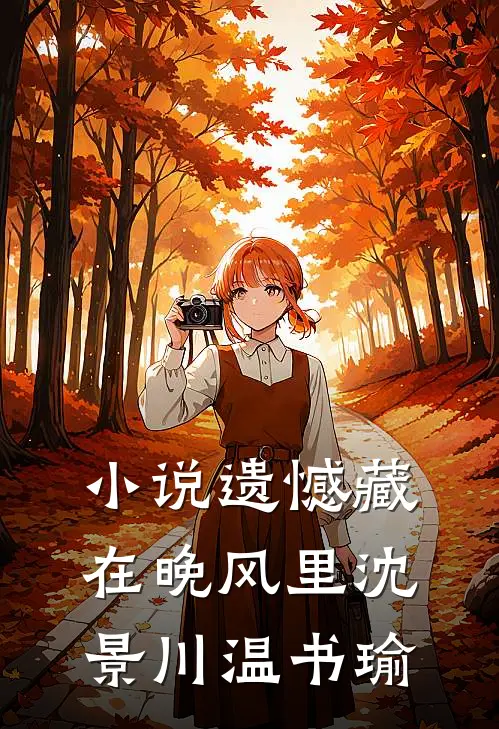 小说遗憾藏在晚风里(沈景川温书瑜)