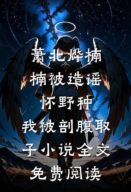 萧北烨楠楠被造谣怀野种，我被剖腹取子小说全文免费阅读