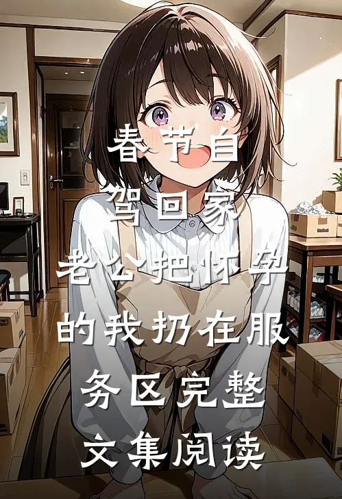 春节自驾回家，老公把怀孕的我扔在服务区完整文集阅读