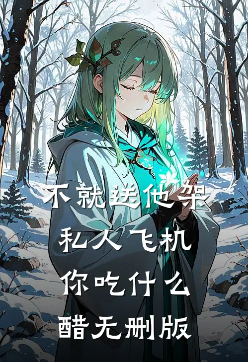 不就送他架私人飞机，你吃什么醋无删版