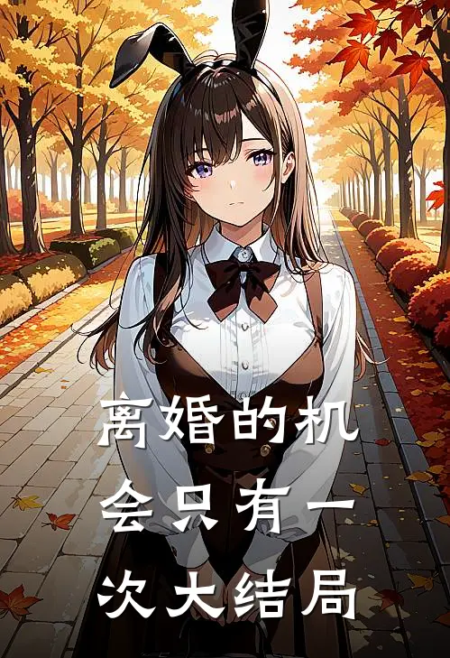 离婚的机会只有一次大结局