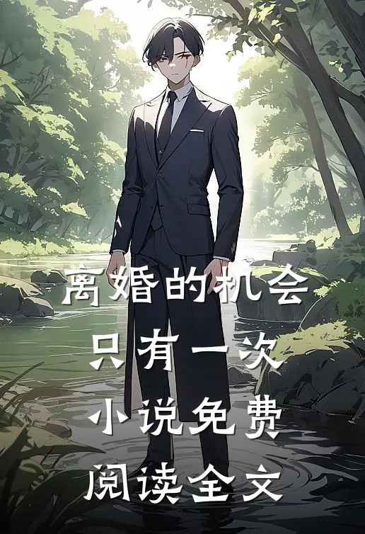 离婚的机会只有一次小说免费阅读全文