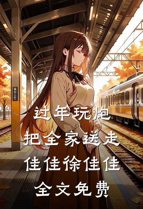 过年玩炮，把全家送走佳佳徐佳佳全文免费