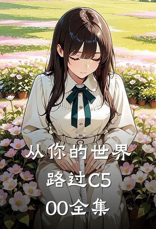 从你的世界路过C500全集