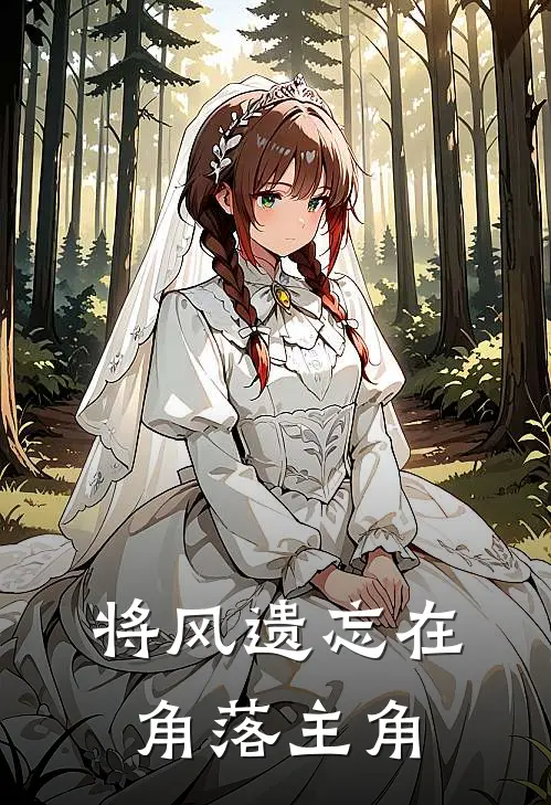将风遗忘在角落主角
