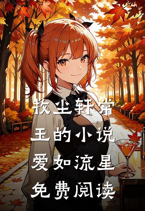 牧尘轩常玉的小说爱如流星免费阅读