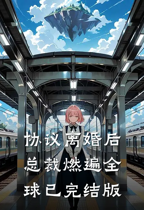 协议离婚后，总裁燃遍全球已完结版