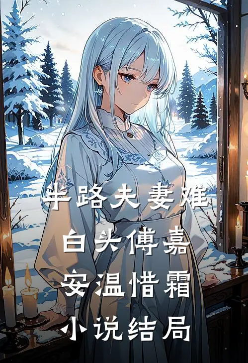半路夫妻难白头傅嘉安温惜霜小说结局