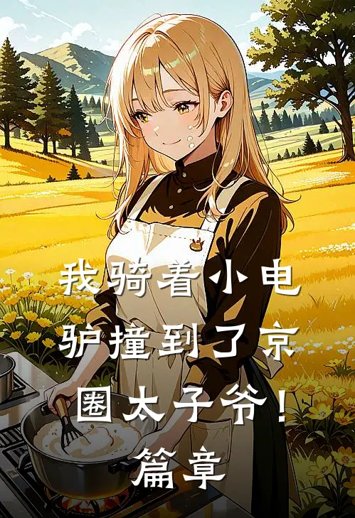 我骑着小电驴撞到了京圈太子爷！篇章