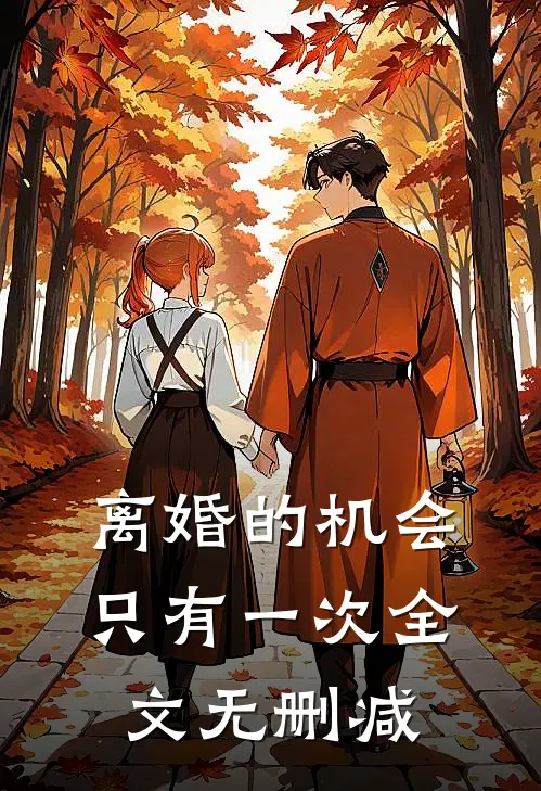 离婚的机会只有一次全文无删减